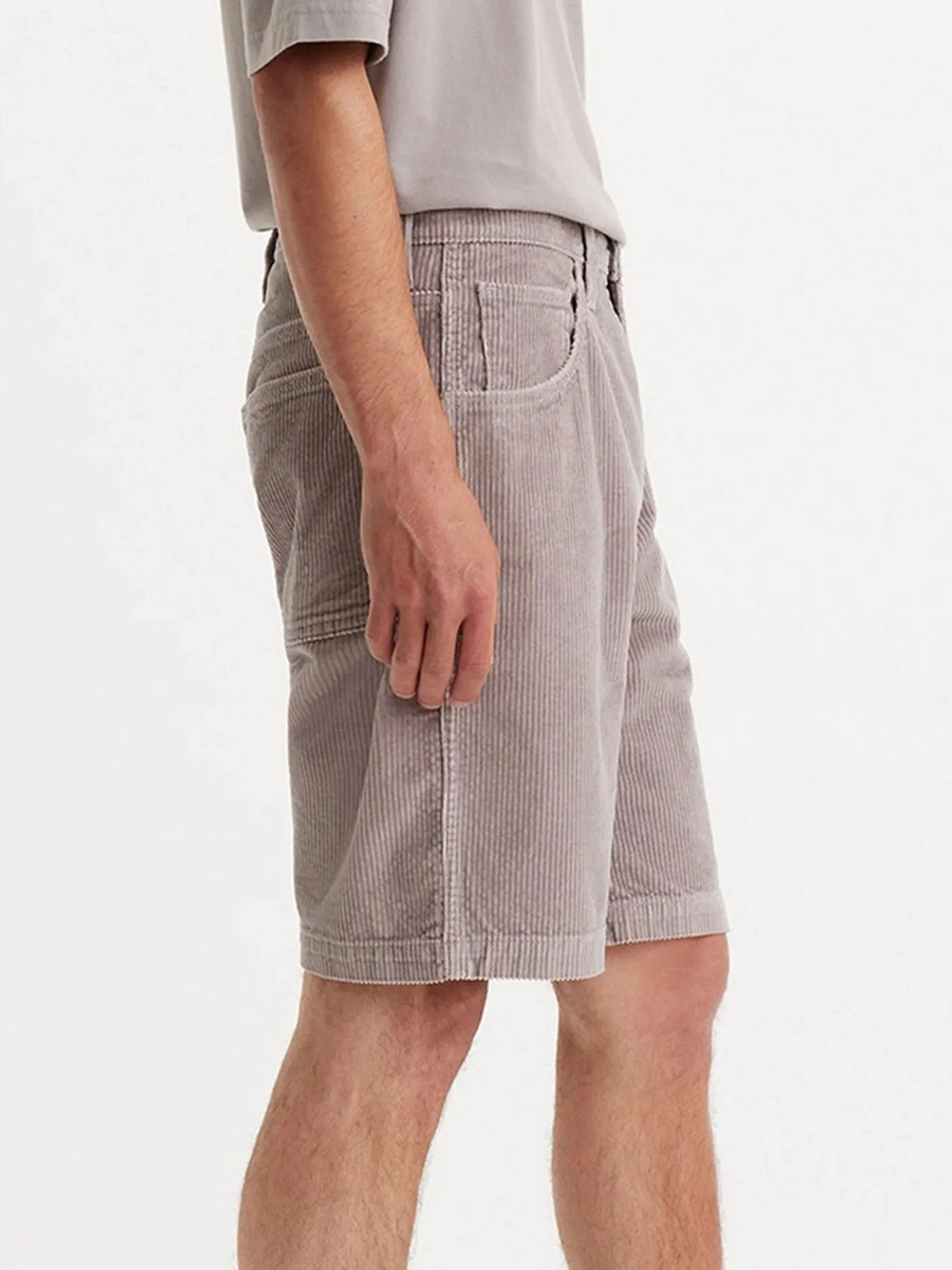 Skate Drop-In Silver Fox Shorts